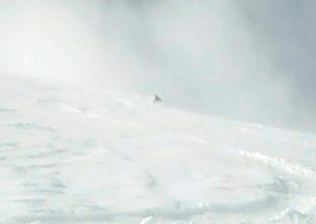 Image of Skier in powder